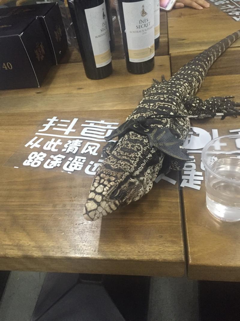 今天去上海分享了一些内容，回到杭州马上加班制作抖音新计划。。欢迎到公司坐白马湖国际会展中心。。来者分