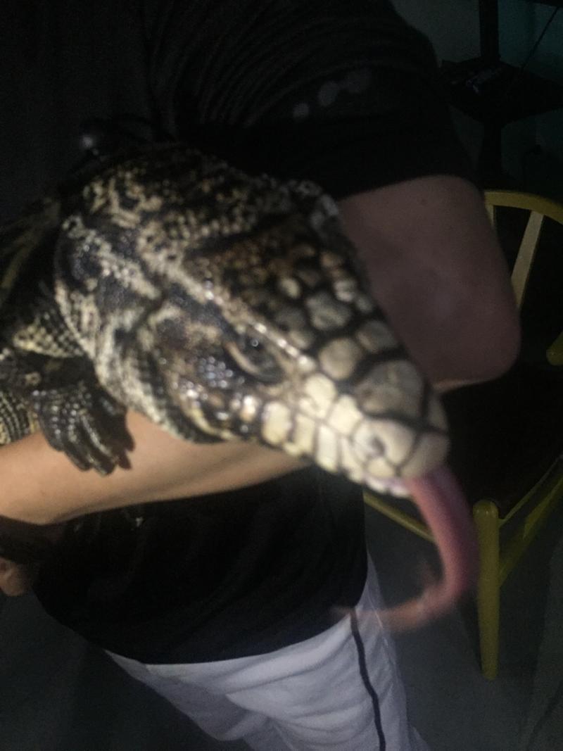 今天去上海分享了一些内容，回到杭州马上加班制作抖音新计划。。欢迎到公司坐白马湖国际会展中心。。来者分