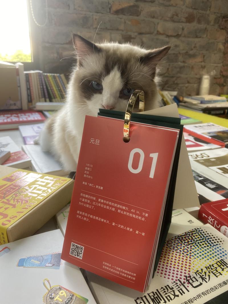 收到了，很精美，可以预见2020年会过的很快，感谢各位大佬辛勤的付出。
图4:虎视眈眈。
图5:哎哟