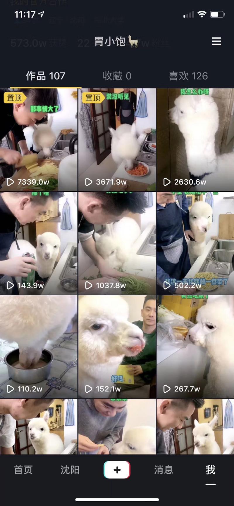 0基础跨界抖音短视频领域,从赔掉50万到盈利100万