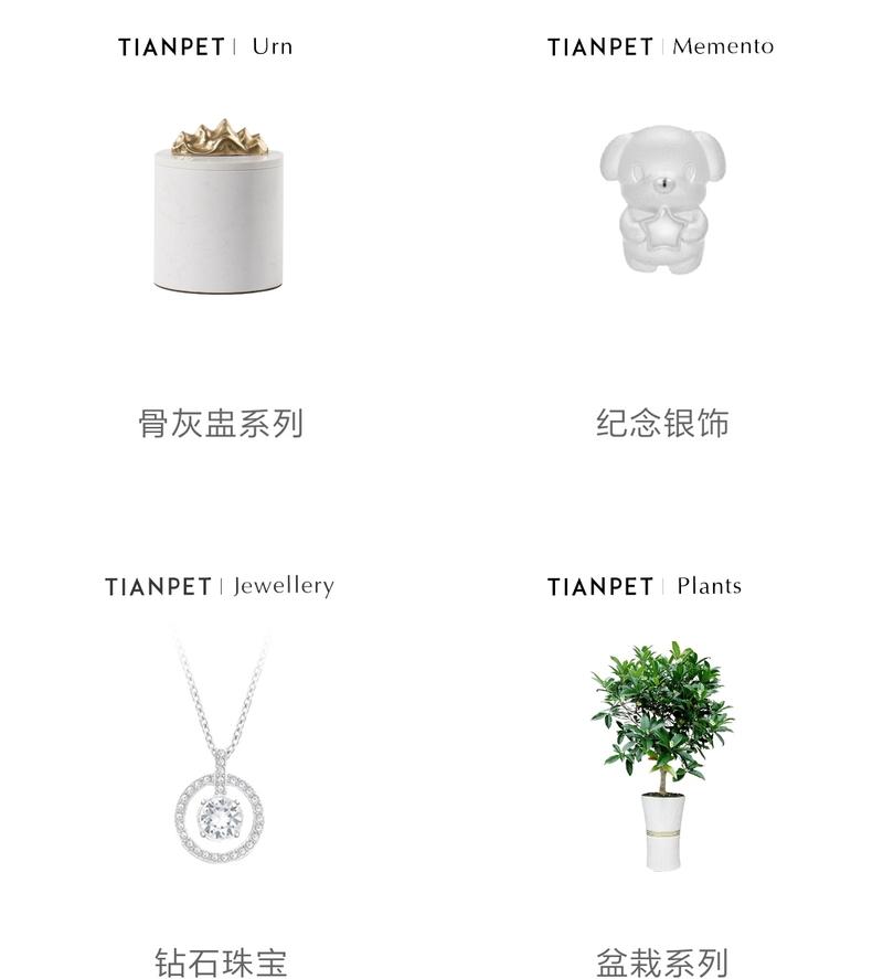 友话职说   玩火的少年
分享一段小众行业经历，宠物殡葬。
某天午后朋友来电，哭丧着说：我儿子没了