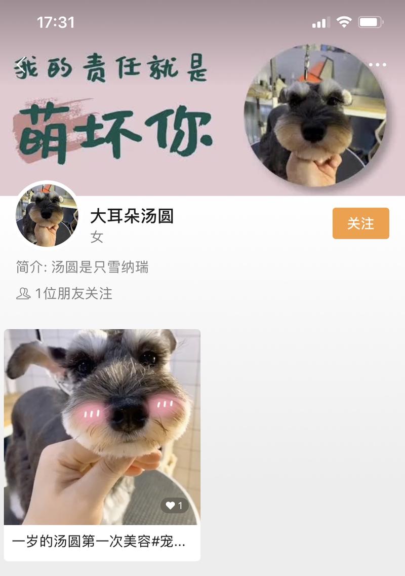 6月19日微信视频号大面积开放？大家快去看看。
我一天之内5个微信全部开通视频号，太开心了。这5个微