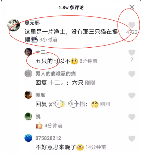 利用人性赚钱（九）抖音爆火的五只小猫，让我无意间成了卑微流量
每一次热点，意味着一个新的机会的来