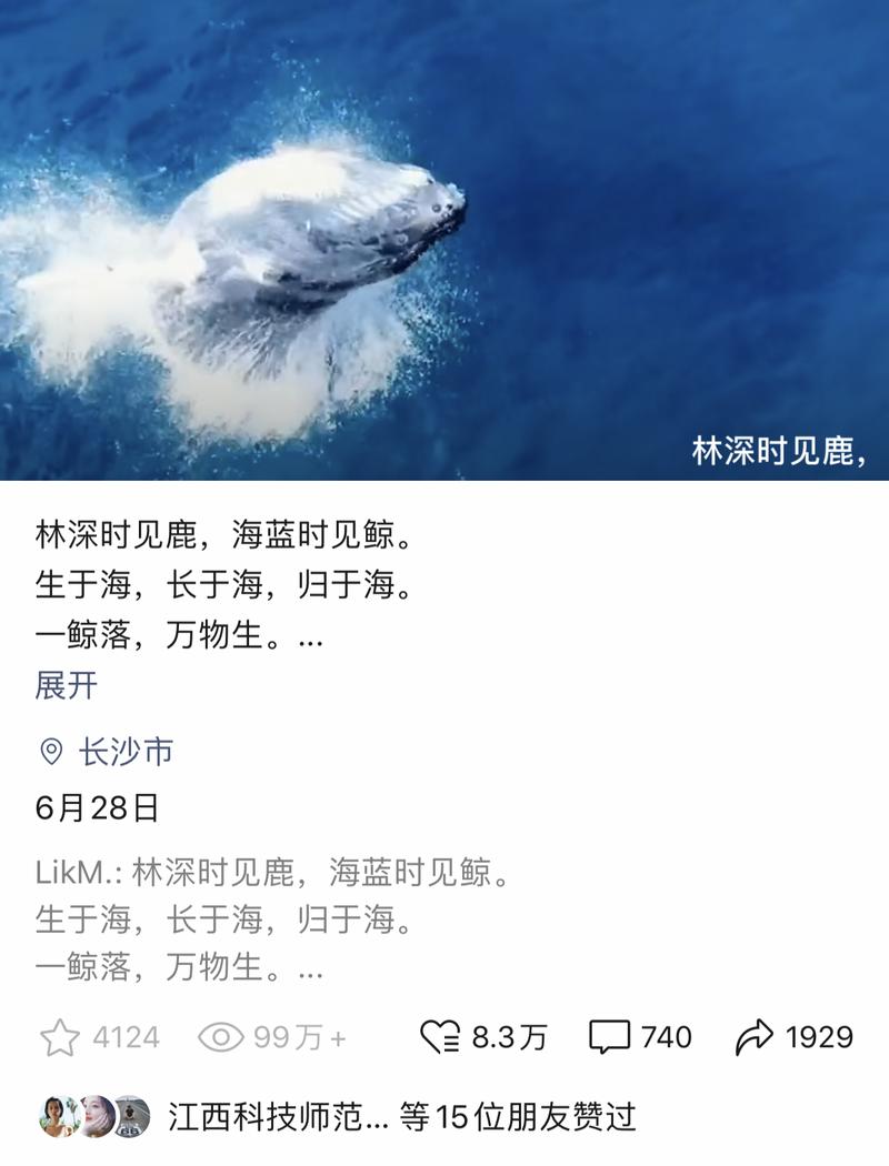 #视频号
#视频号大航海
复盘拆解|单条视频100w浏览,涨粉9000+,连上热门的实操心得分享