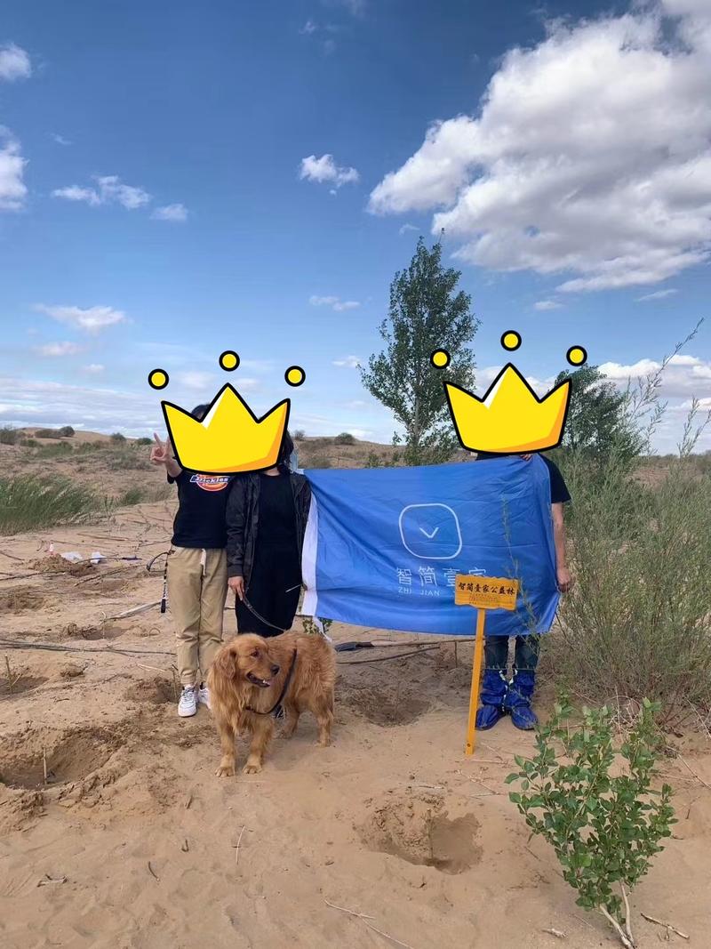 95后专科生，2年时间从十万起家到月销百万
大家好，我是银河。第一次发帖先分享下我的创业经历，给像