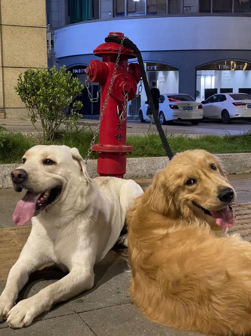 最近看张一鸣微博得到一些启发,感触颇多!他写道
研究聪明人如何犯错误,回报率很高。