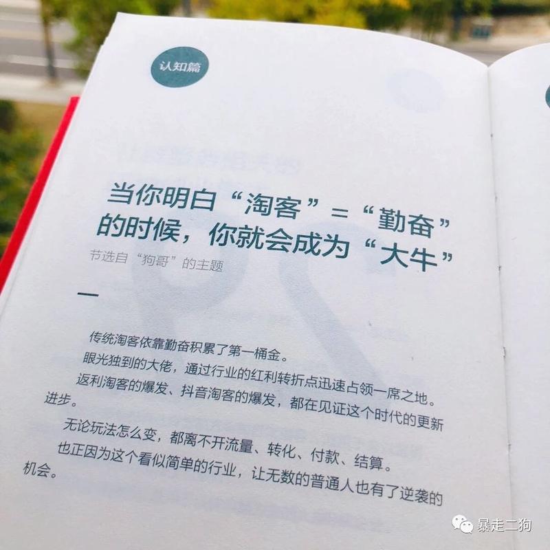 大家好，其实狗哥，是一名95后淘宝客，目前从业约6年。
也是公众号【暴走二狗】的作者，目前3.1万