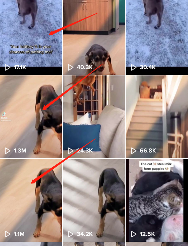 一起赚美元   TIKTOK如何在15天内，从0做到20W粉丝，变现100多美金！
大家好，我是w