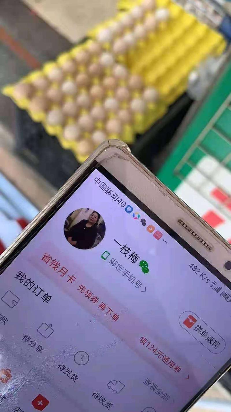 15天25万佣金10万利润,我是如何抓住拼多多守卫现金红利的?
大家好,我是阿宇,跟