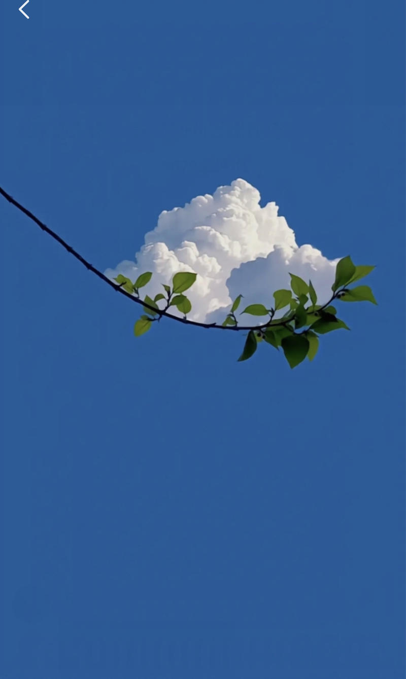 《粥左罗：和考985相比，年入100万简单太多了！》
考985和年入100万，哪个更容易做到？