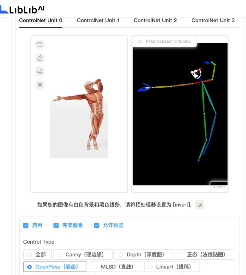 在网上学到了一种生成 OpenPose 的方式，在这里分享一下
通过网站 posemaniacs（