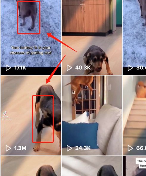 一起赚美元   TIKTOK如何在15天内，从0做到20W粉丝，变现100多美金！
大家好，我是w