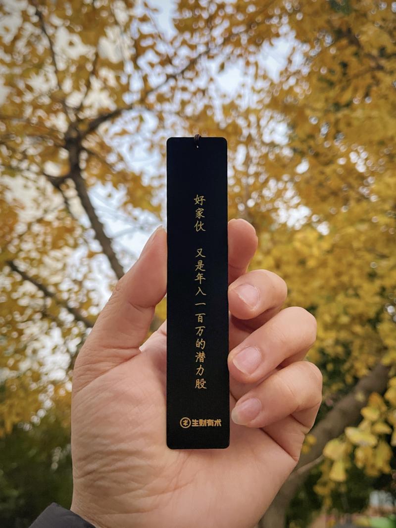 【抖音商业IP大航海收尾汇报】
大家好，我是本次大航海的大副静伟，今年的航海活动是由我和