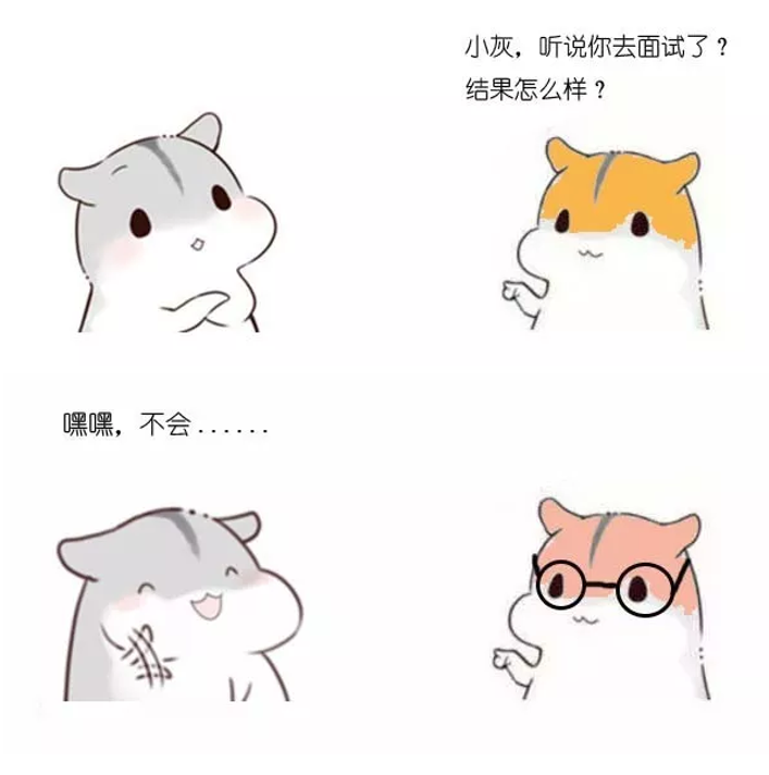 思路分享 第一桶金 龙珠
从0收入到年入300万,说一说我的公众号创作之路
大家好,