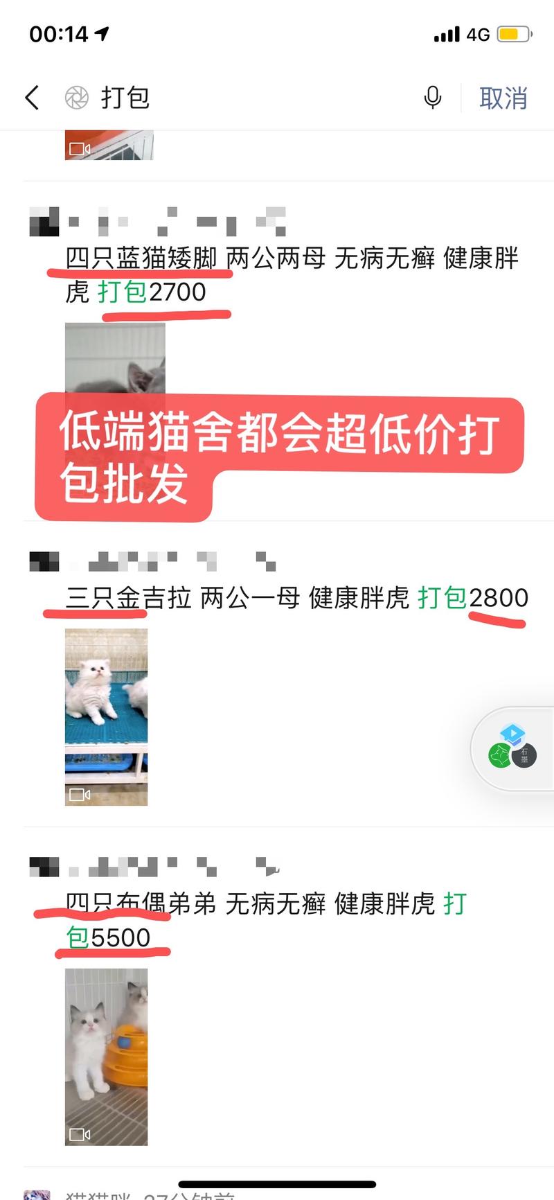【生财CP分享】养猫2年赚35万，介绍一个少有人知但性价比超高的副业。
