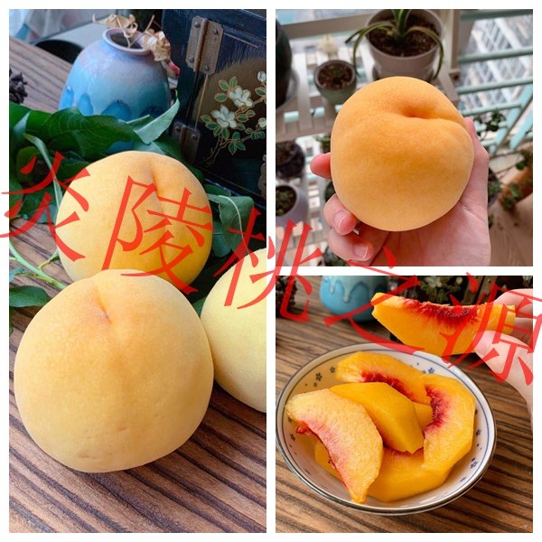 【加入生财有术，如何做一些有意义的事情】
大家好，我是钟南。
今年4月18日，通过