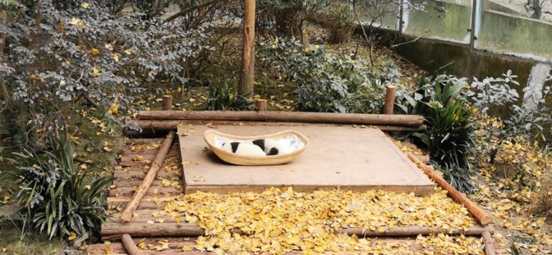 求教实操:微信怎么批量加好友不被封号？
有n多老客户手机号，想全部加进微信，有没有老司机知道如何操作