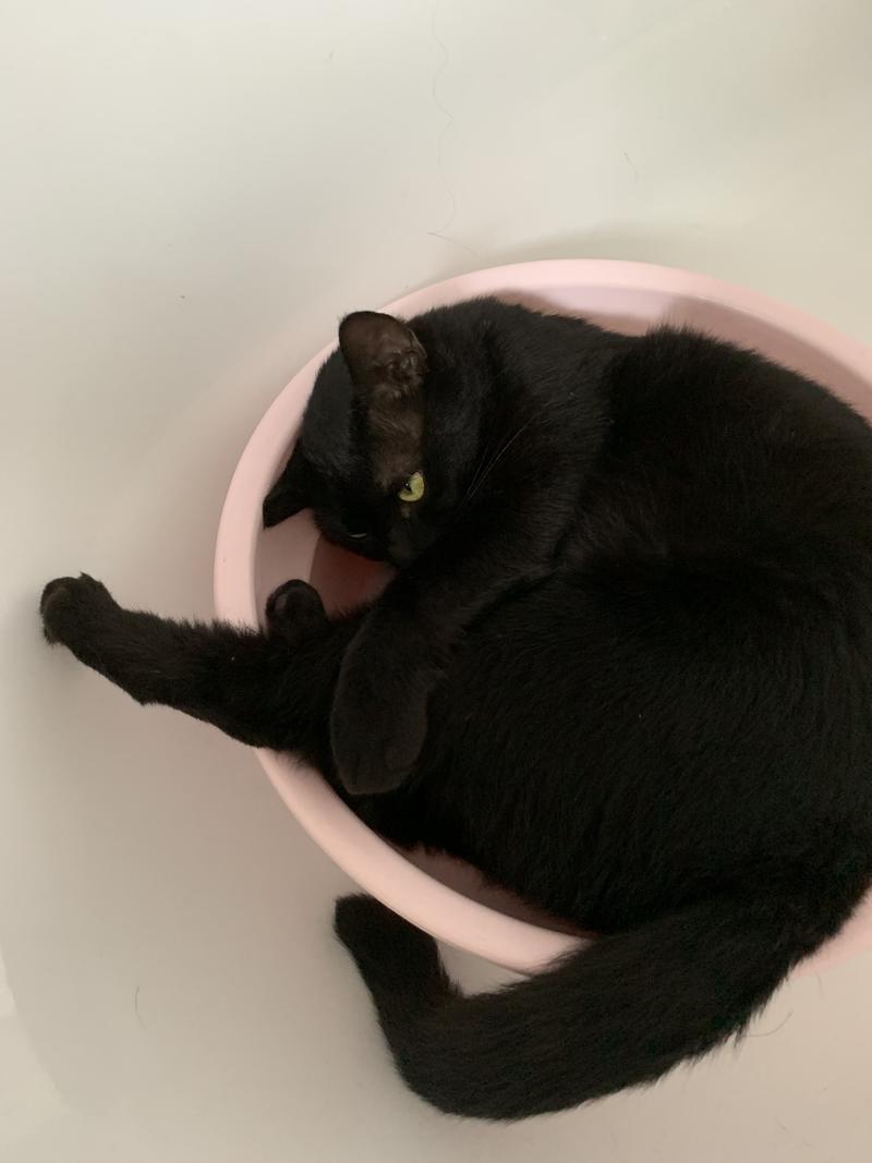 《互联网创业者如何开始练习写作？》