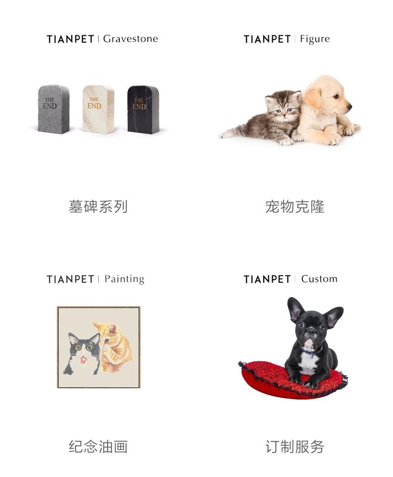 友话职说   玩火的少年
分享一段小众行业经历，宠物殡葬。
某天午后朋友来电，哭丧着说：我儿子没了