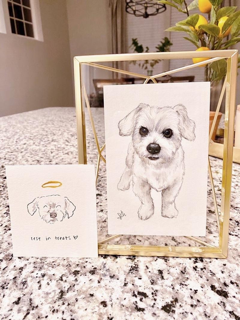 大家好，我是亦仁的助理鱼丸，大家的老朋友，同时也是生财有术首席会员服务官 ~
关于生财有术会员相关