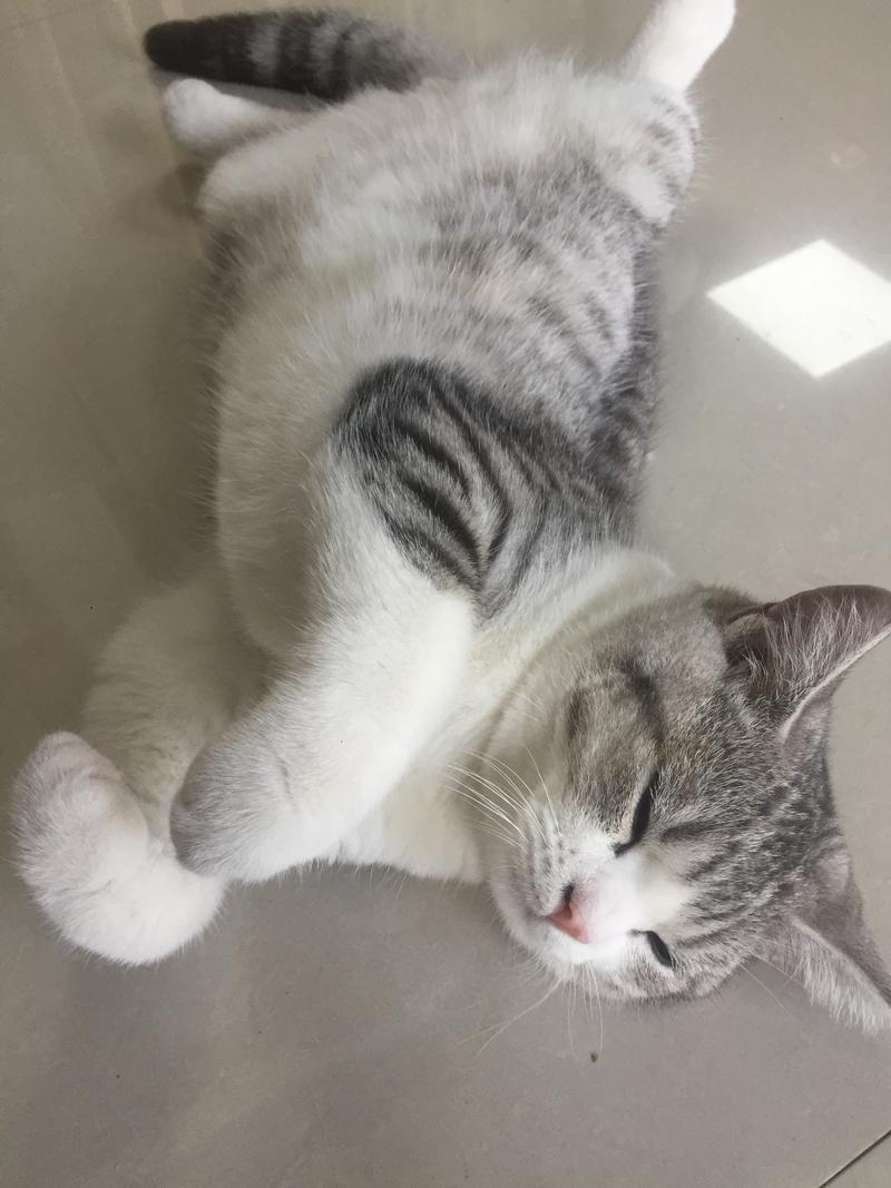 分享一点最近接触到的东西，诚心分享，有兴趣可以再深入聊下。
之前一直运作书单，虽然能赚但总感觉没有自