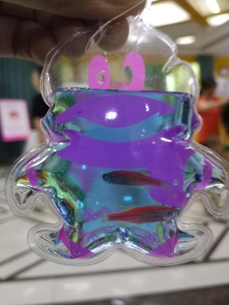 有没有知道这个观赏鱼的的球友，在儿童医院门口，摆了一个小泡沫箱，一个小时左右，基本上卖完了。跟卖鱼的