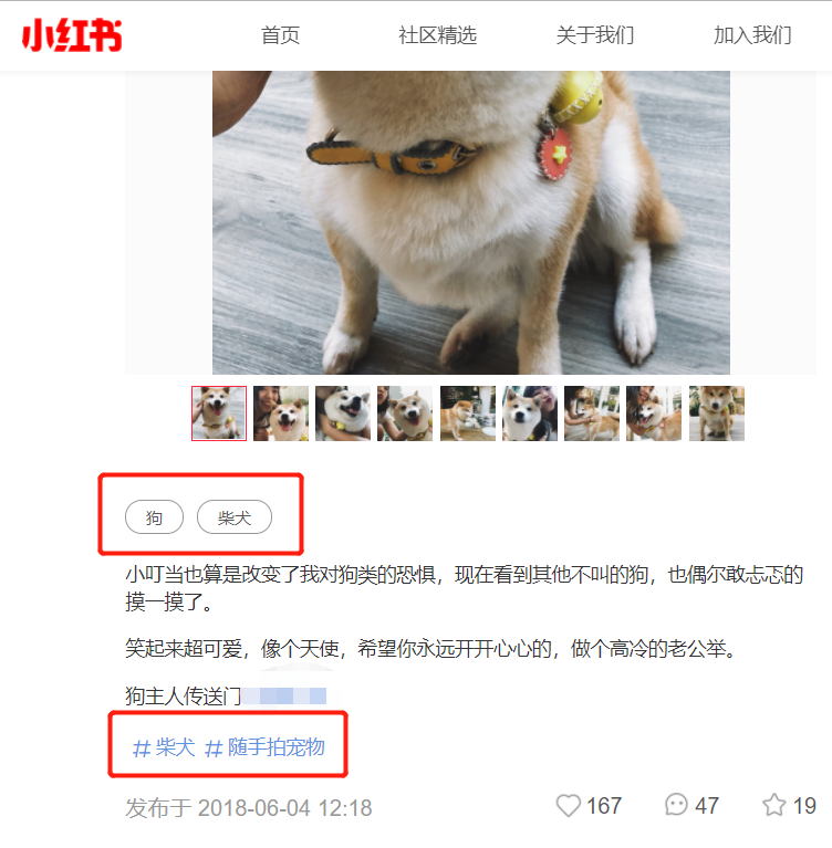 奇技淫巧  
最近在研究小红书，这个连续拿到腾讯、阿里战投的社交电商很了不得，且不说赞助创造101